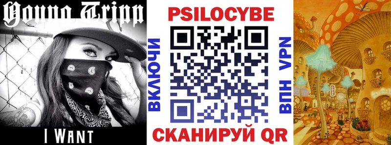 блэк спрут ONION  Моршанск  Псилоцибиновые грибы GOLDEN TEACHER 